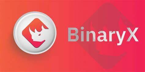 什么是BinaryX币-第1张图片-芝麻交易所下载